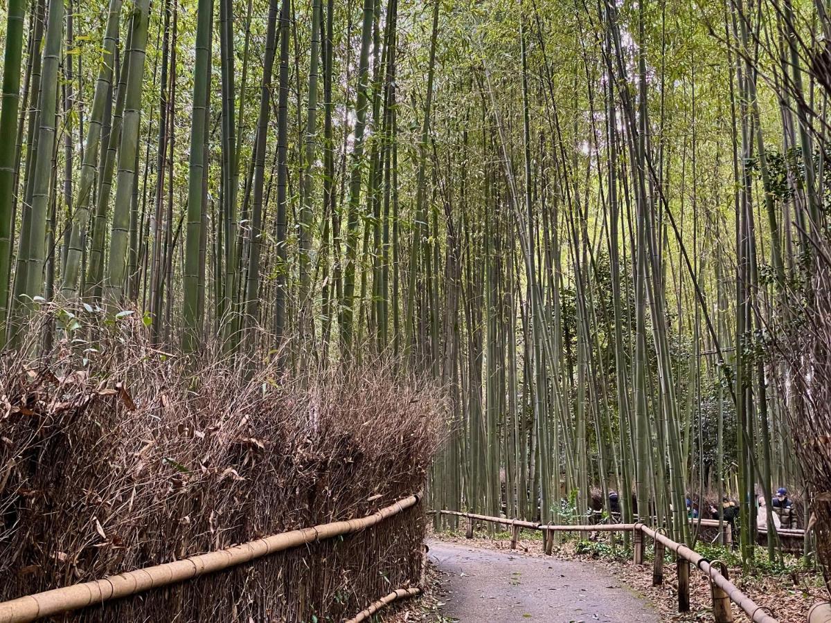 Yado Arashiyama Hotel Kyoto Exterior photo